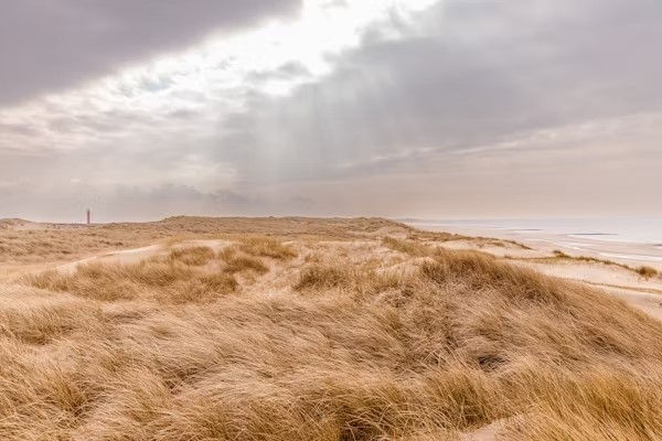 Negen kansrijke innovaties voor duurzaam kustonderhoud