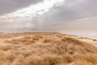 Negen kansrijke innovaties voor duurzaam kustonderhoud